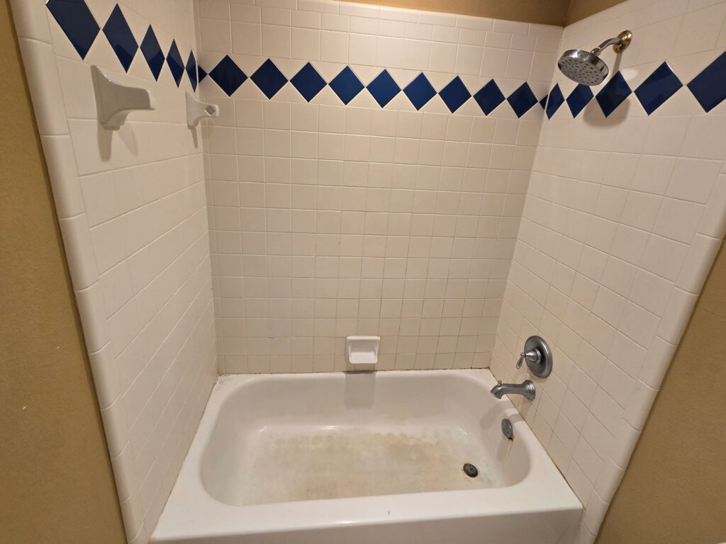 Mckinney tx tub 2 before